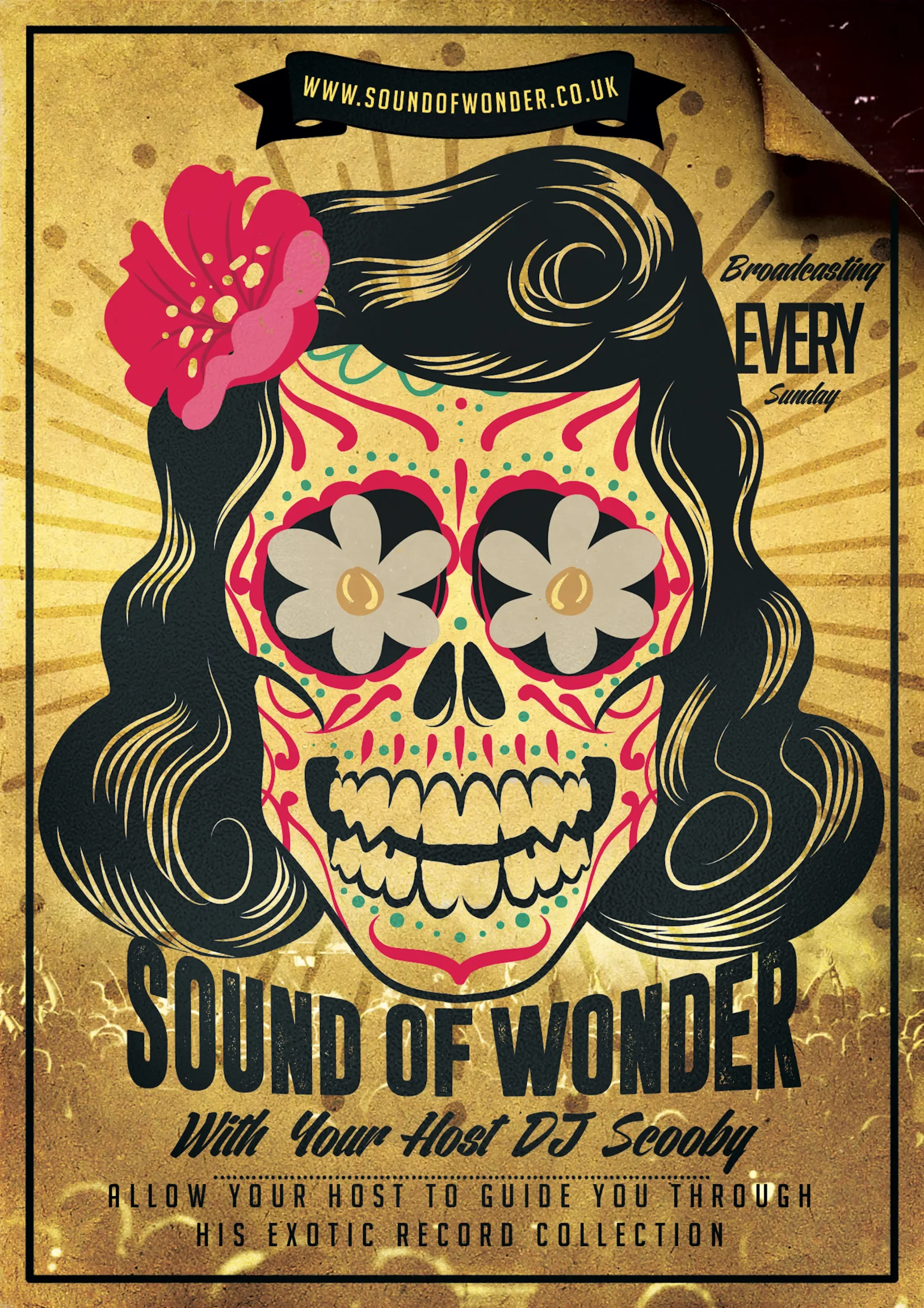Sound Of Wonder #497
